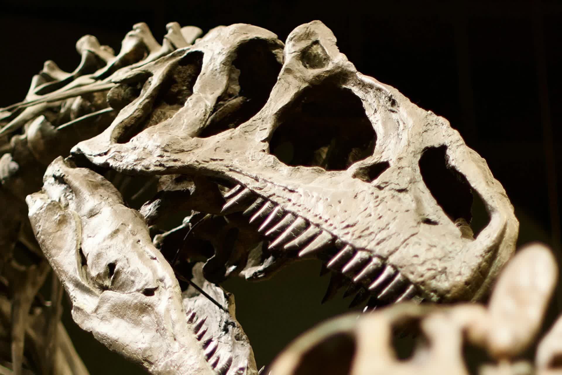 Nồng độ CO2 trong khí quyển thời khủng long