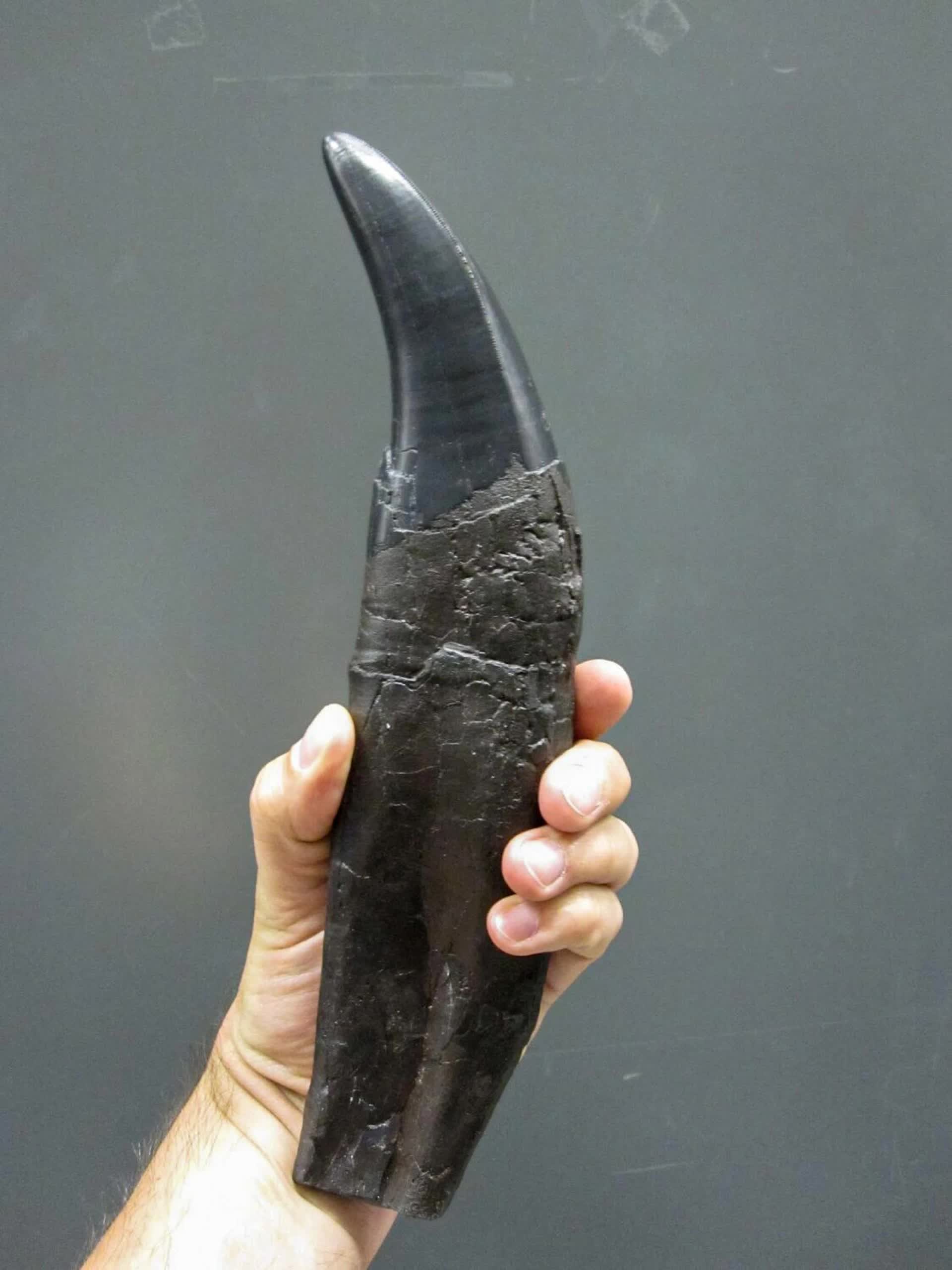 Khám phá mới về khí hậu tiền sử